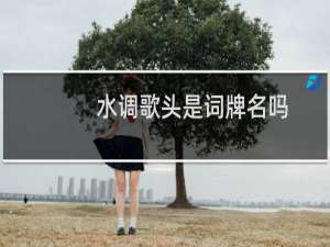 水调歌头是词牌名吗