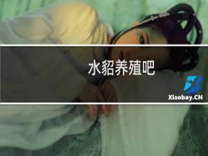 水貂养殖吧