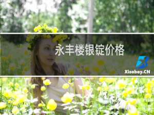 永丰楼银锭价格
