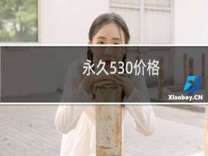 永久530价格