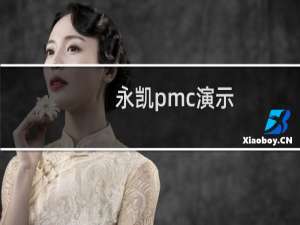 永凯pmc演示