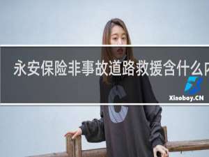 永安保险非事故道路救援含什么内容