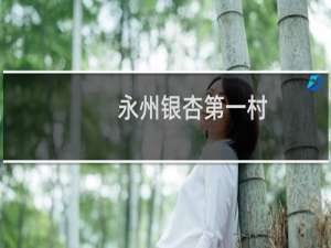 永州银杏第一村