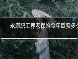 永康职工养老保险今年缴费多少