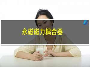 永磁磁力耦合器