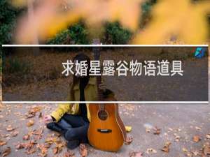 求婚星露谷物语道具