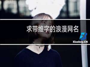求带维字的浪漫网名