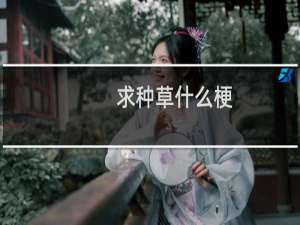 求种草什么梗