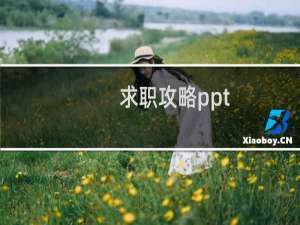 求职攻略ppt