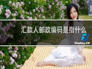 汇款人邮政编码是指什么