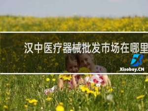 汉中医疗器械批发市场在哪里