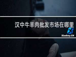 汉中牛羊肉批发市场在哪里