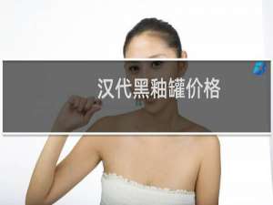 汉代黑釉罐价格