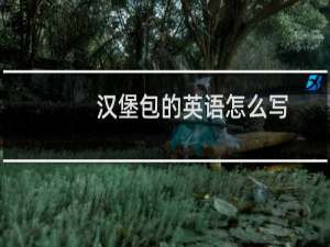 汉堡包的英语怎么写