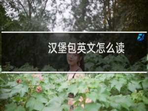 汉堡包英文怎么读