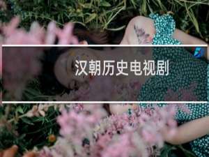 汉朝历史电视剧