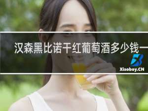 汉森黑比诺干红葡萄酒多少钱一瓶