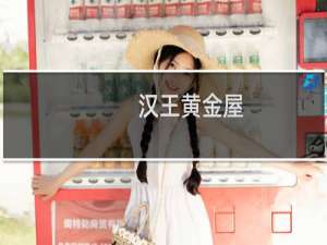 汉王黄金屋
