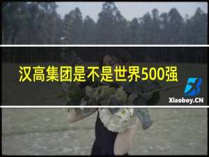 汉高集团是不是世界500强