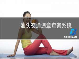 汕头交通违章查询系统（汕头交通违章查询）