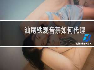 汕尾铁观音茶如何代理