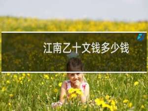 江南乙十文钱多少钱