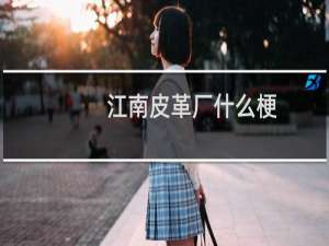 江南皮革厂什么梗