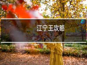 江宁王攻略