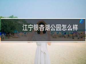 江宁银杏湖公园怎么样
