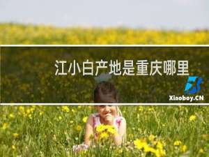 江小白产地是重庆哪里