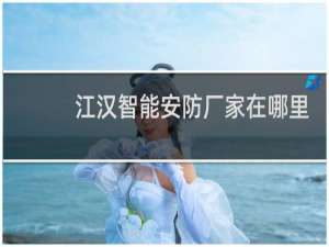 江汉智能安防厂家在哪里