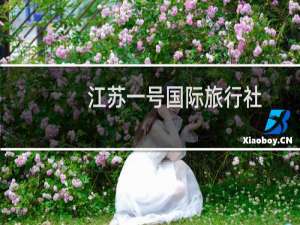 江苏一号国际旅行社