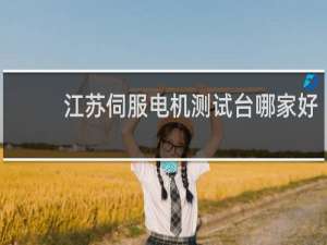 江苏伺服电机测试台哪家好