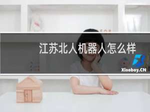 江苏北人机器人怎么样