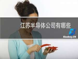 江苏半导体公司有哪些