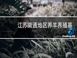 江苏南通地区养羊养殖基地