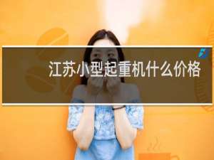江苏小型起重机什么价格