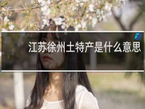 江苏徐州土特产是什么意思