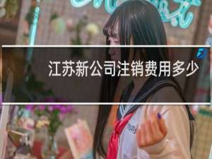 江苏新公司注销费用多少