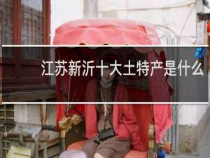 江苏新沂十大土特产是什么