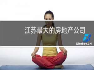 江苏最大的房地产公司