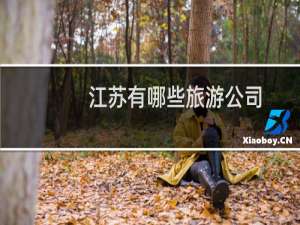 江苏有哪些旅游公司