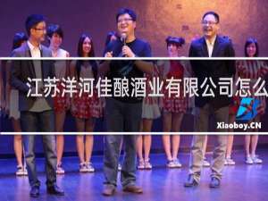 江苏洋河佳酿酒业有限公司怎么样