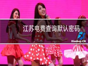 江苏电费查询默认密码（江苏95598电费查询密码是多少）