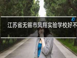 江苏省无锡市凤翔实验学校好不好