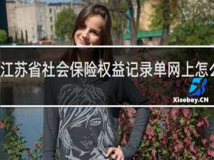 江苏省社会保险权益记录单网上怎么打印
