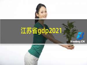 江苏省gdp2021年排名（江苏省gdp）