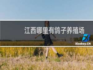 江西哪里有鸽子养殖场