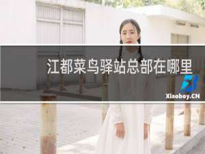 江都菜鸟驿站总部在哪里