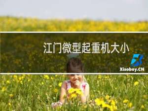 江门微型起重机大小